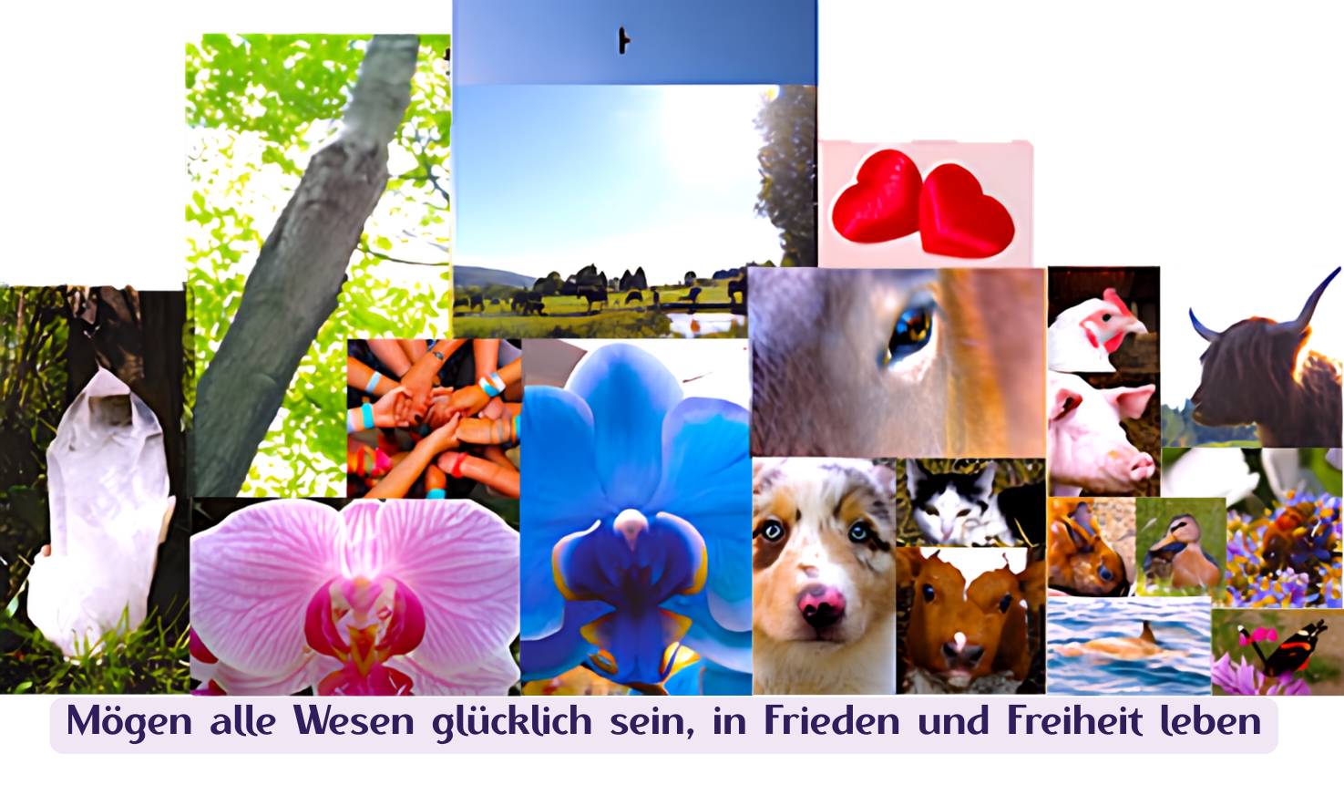 Botschaft